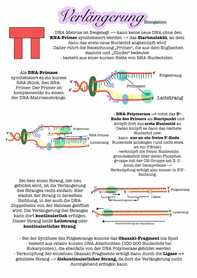 Glossar
Nucleosid: Nucleoside bestehen aus einer Pyrimidin- oder Purinbase und
einer Pentose. Zu den Pyrimidinbasen gehoren Cytosin, Thymin 