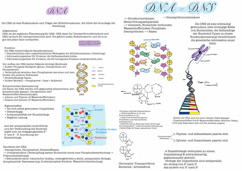 Glossar
Nucleosid: Nucleoside bestehen aus einer Pyrimidin- oder Purinbase und
einer Pentose. Zu den Pyrimidinbasen gehoren Cytosin, Thymin 
