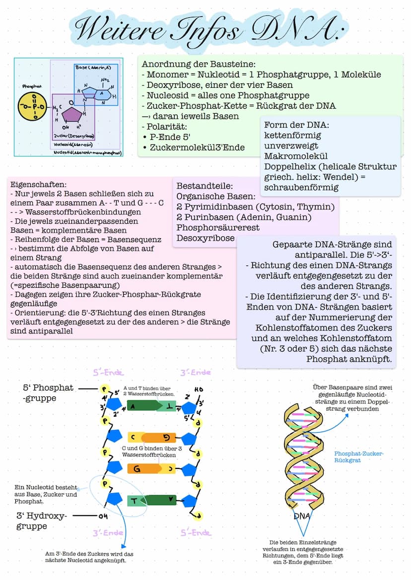 Glossar
Nucleosid: Nucleoside bestehen aus einer Pyrimidin- oder Purinbase und
einer Pentose. Zu den Pyrimidinbasen gehoren Cytosin, Thymin 
