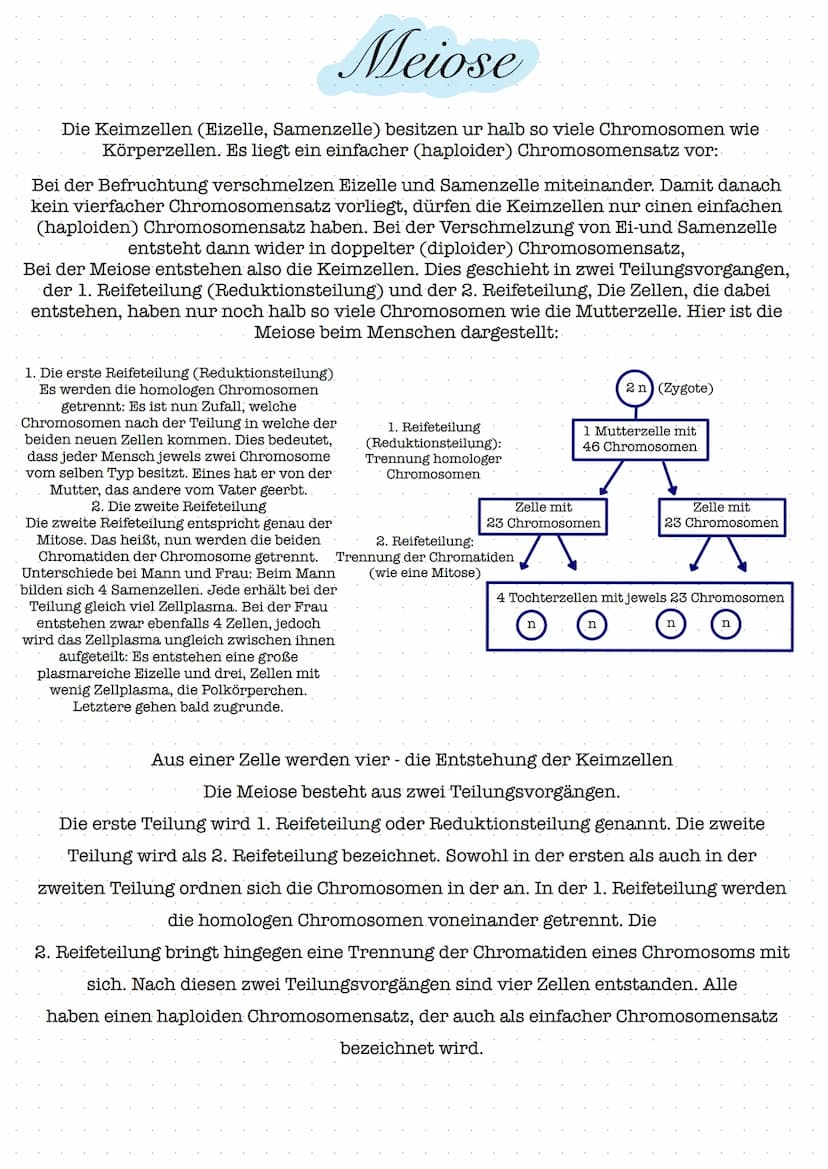 Glossar
Nucleosid: Nucleoside bestehen aus einer Pyrimidin- oder Purinbase und
einer Pentose. Zu den Pyrimidinbasen gehoren Cytosin, Thymin 