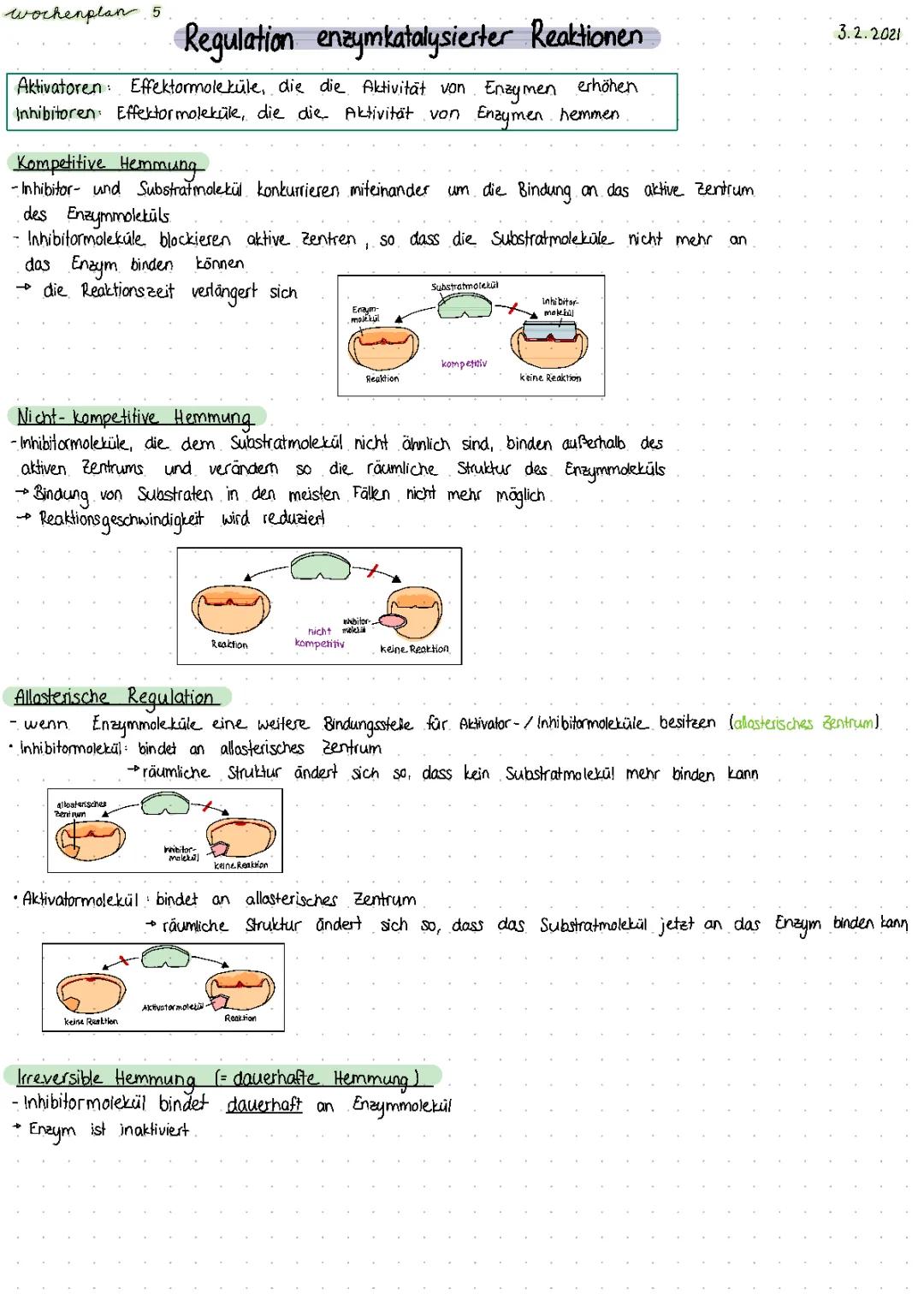 Allosterische und Nicht Kompetitive Hemmung: Einfach Erklärt mit Beispielen