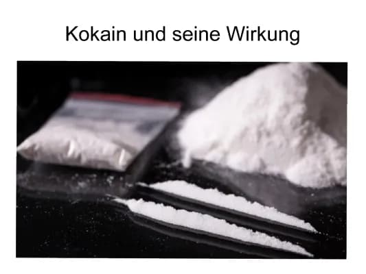 Know Vortrag Kokain und seine biologische Wirkung (PDF) Biologie  thumbnail