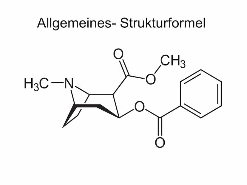 Kokain und seine Wirkung 1. Allgemeines
2. Geschichte
Gliederung
3. Anbau und Verarbeitung
4. Sucht allgemein
5. Wirkung und Verwendung
6. F