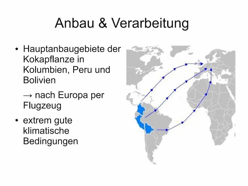 Kokain und seine Wirkung 1. Allgemeines
2. Geschichte
Gliederung
3. Anbau und Verarbeitung
4. Sucht allgemein
5. Wirkung und Verwendung
6. F