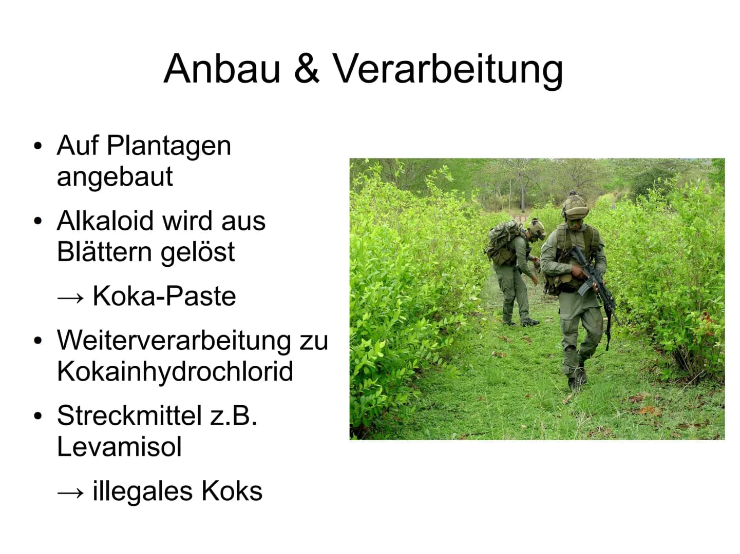 Kokain und seine Wirkung 1. Allgemeines
2. Geschichte
Gliederung
3. Anbau und Verarbeitung
4. Sucht allgemein
5. Wirkung und Verwendung
6. F
