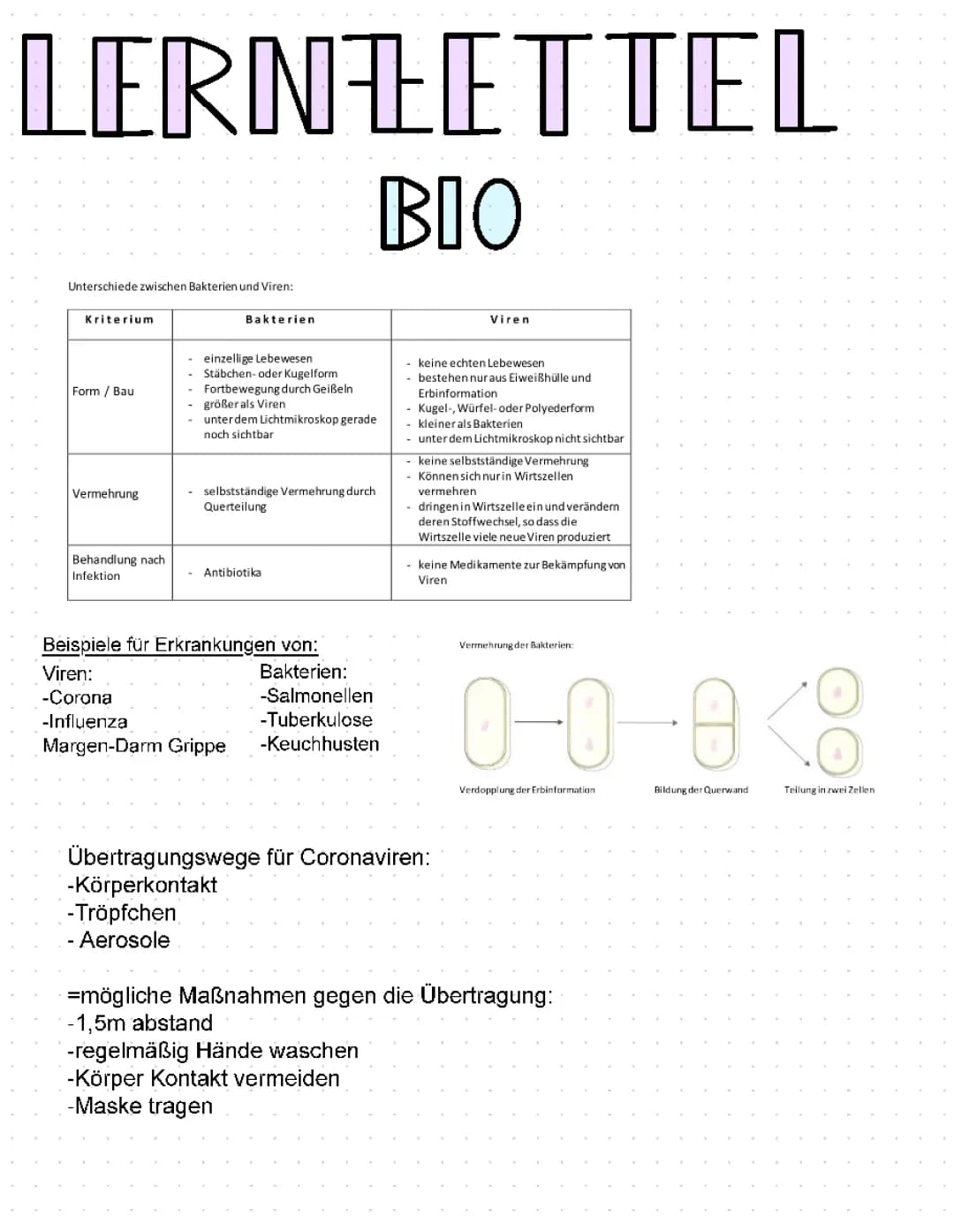 Bakterien und Viren
