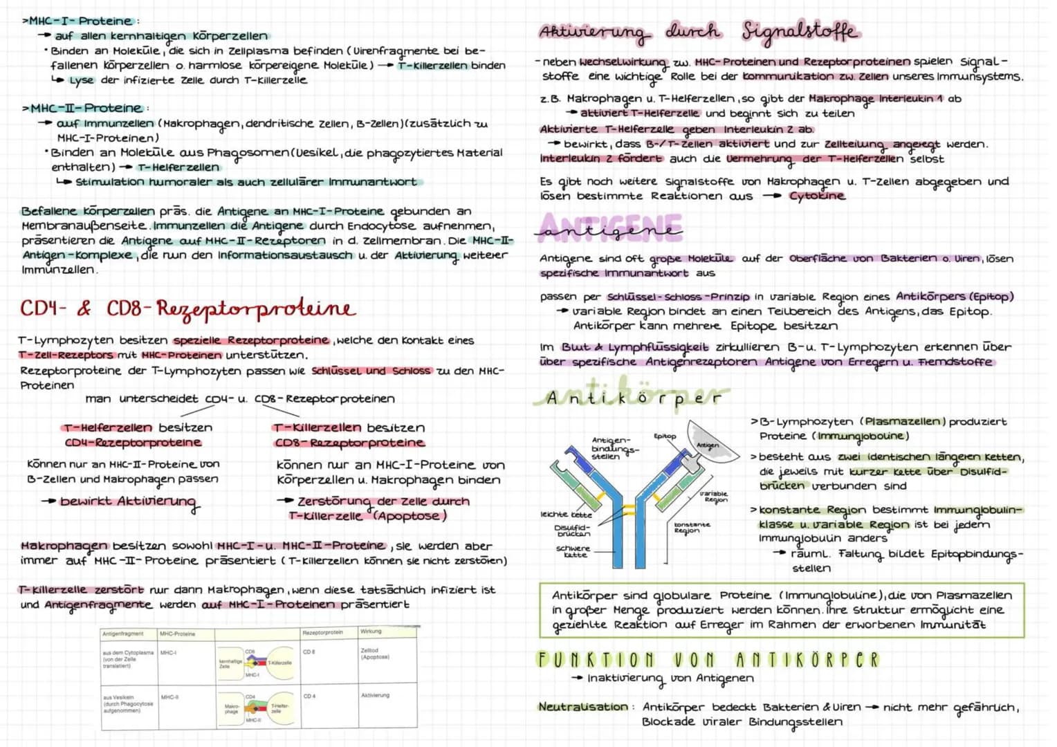 TMM' DIALOCIR
immunbiolo
abwehrsysteme des Körpers
Eigenschaften des Immunsystems
Fremderkennung: zw. körpereigen & Körperfremden Erreger (v