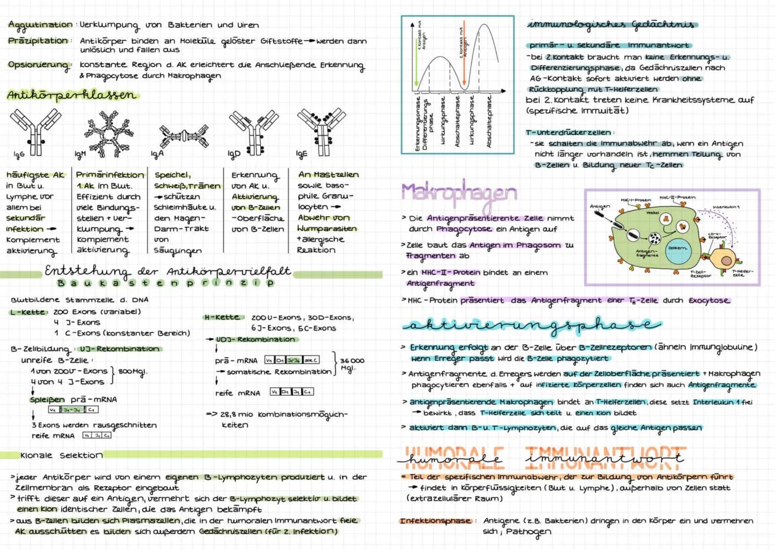 TMM' DIALOCIR
immunbiolo
abwehrsysteme des Körpers
Eigenschaften des Immunsystems
Fremderkennung: zw. körpereigen & Körperfremden Erreger (v