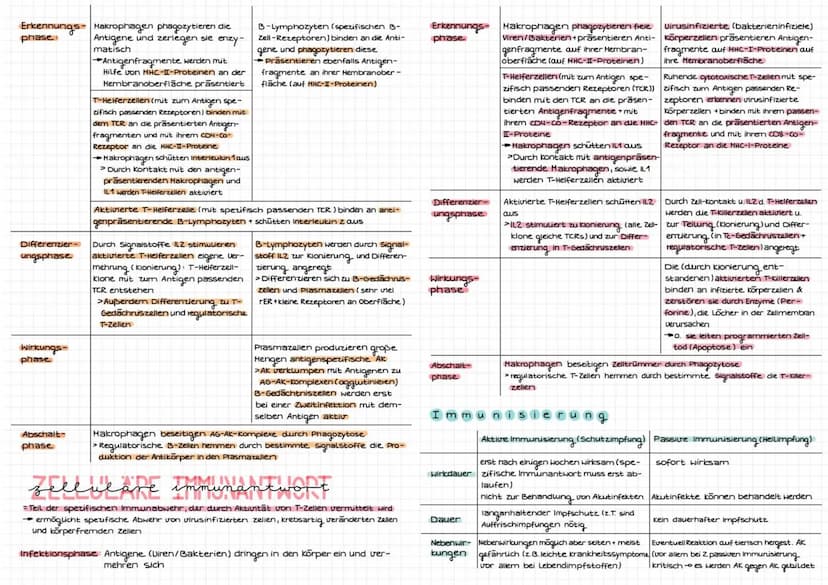 TMM' DIALOCIR
immunbiolo
abwehrsysteme des Körpers
Eigenschaften des Immunsystems
Fremderkennung: zw. körpereigen & Körperfremden Erreger (v