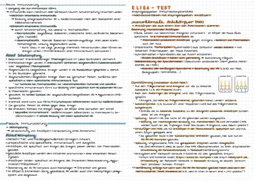 TMM' DIALOCIR
immunbiolo
abwehrsysteme des Körpers
Eigenschaften des Immunsystems
Fremderkennung: zw. körpereigen & Körperfremden Erreger (v