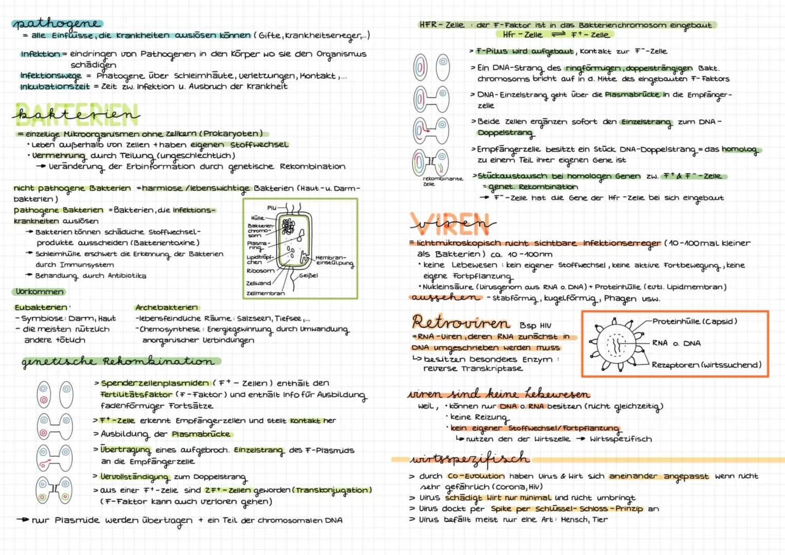 TMM' DIALOCIR
immunbiolo
abwehrsysteme des Körpers
Eigenschaften des Immunsystems
Fremderkennung: zw. körpereigen & Körperfremden Erreger (v