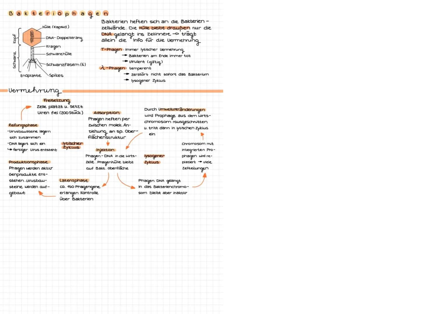 TMM' DIALOCIR
immunbiolo
abwehrsysteme des Körpers
Eigenschaften des Immunsystems
Fremderkennung: zw. körpereigen & Körperfremden Erreger (v