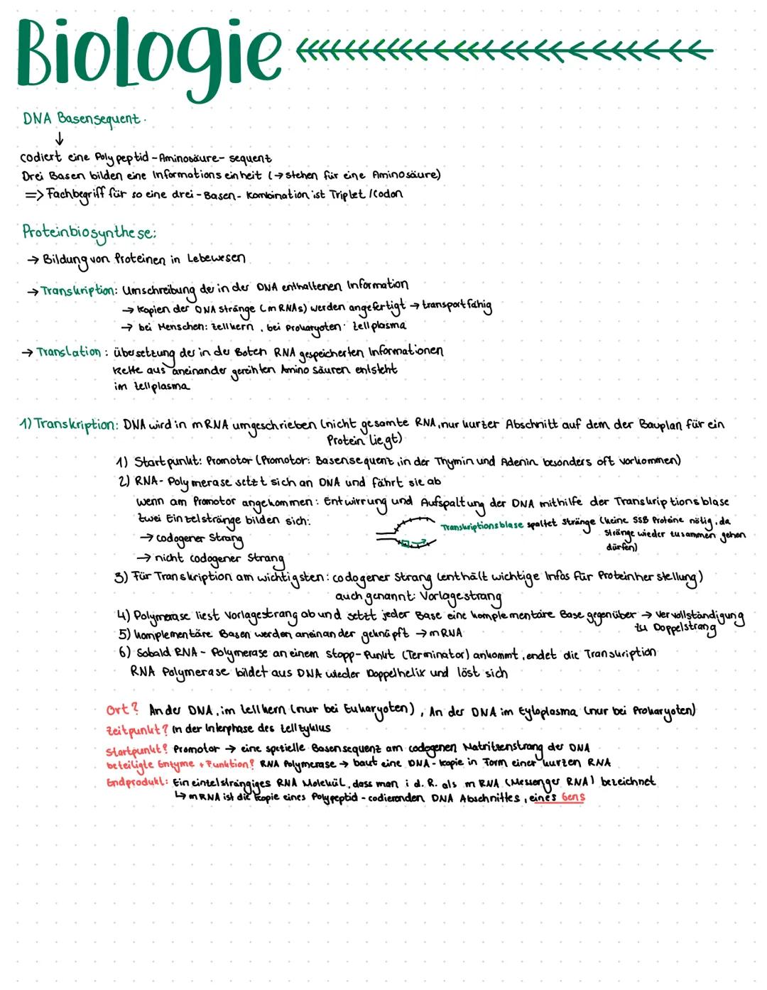 Biologie
DNA Basensequent
↓
codiert eine Poly peptid-Aminosäure- sequent
Drei Basen bilden eine Informations ein heit (→ stehen für eine Ami
