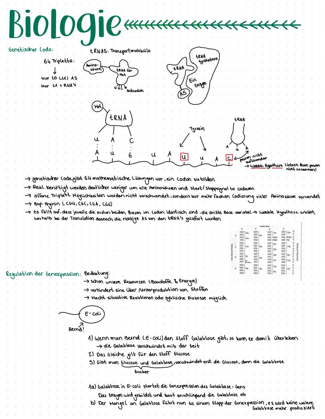Biologie
DNA Basensequent
↓
codiert eine Poly peptid-Aminosäure- sequent
Drei Basen bilden eine Informations ein heit (→ stehen für eine Ami