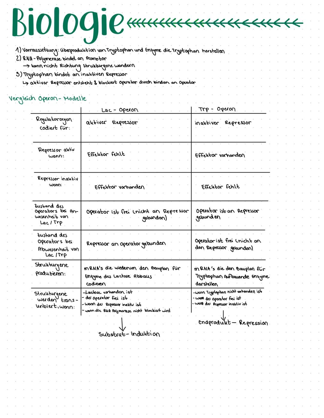 Biologie
DNA Basensequent
↓
codiert eine Poly peptid-Aminosäure- sequent
Drei Basen bilden eine Informations ein heit (→ stehen für eine Ami