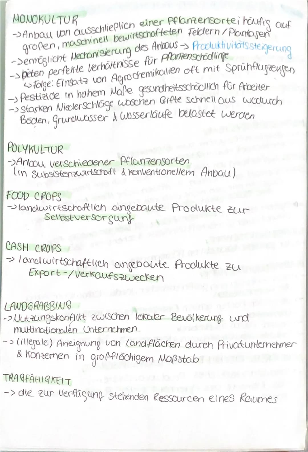 --- OCR Start ---
LANDWIRTSCHAFTLICHE PRODUKTION
FORMEN DER LANDWIRTSCHAFT
SUBSISTENZWIRTSCHAFT
-> Anbau der Eigenversorgung (Food Crops)
KO