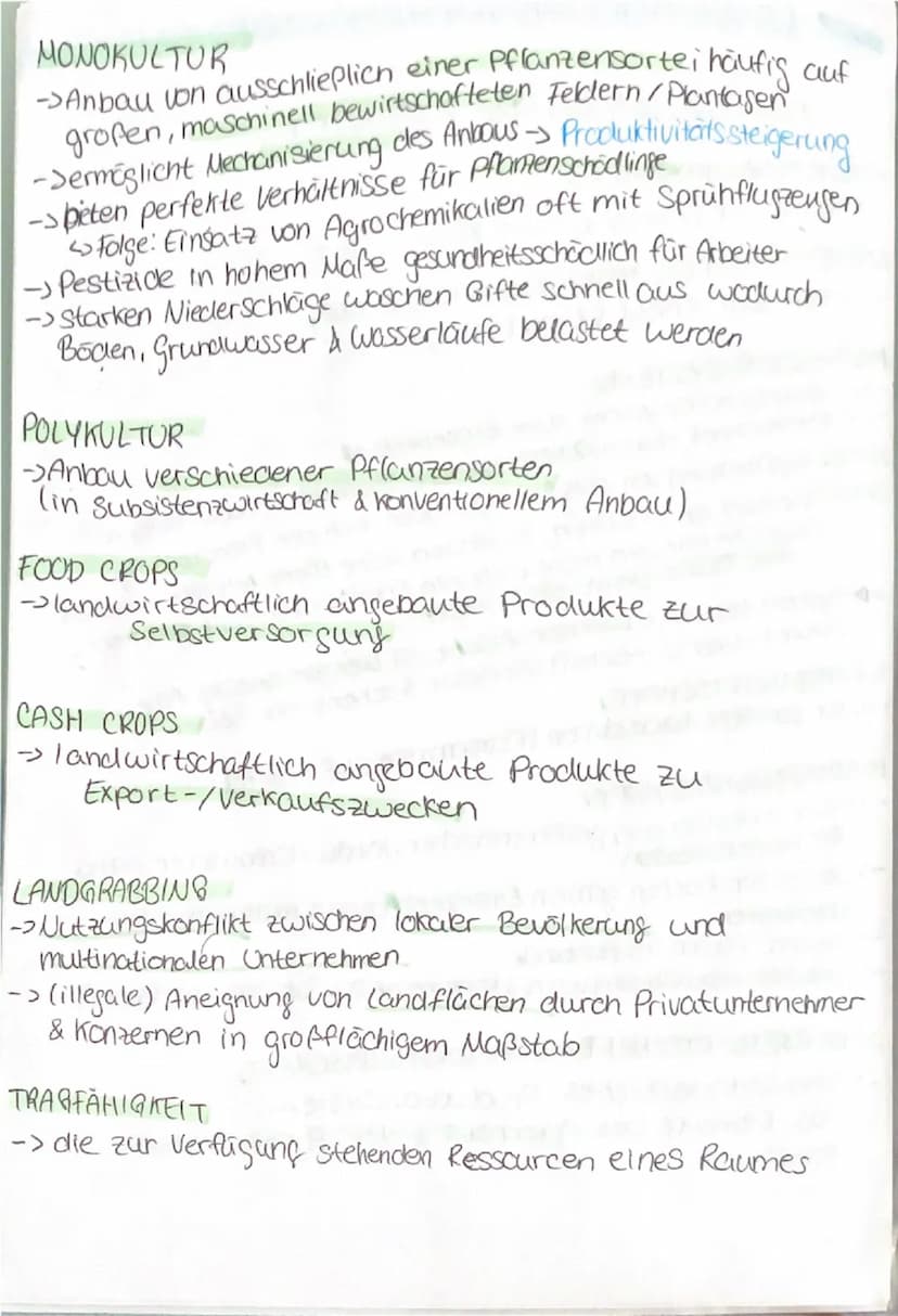 --- OCR Start ---
LANDWIRTSCHAFTLICHE PRODUKTION
FORMEN DER LANDWIRTSCHAFT
SUBSISTENZWIRTSCHAFT
-> Anbau der Eigenversorgung (Food Crops)
KO