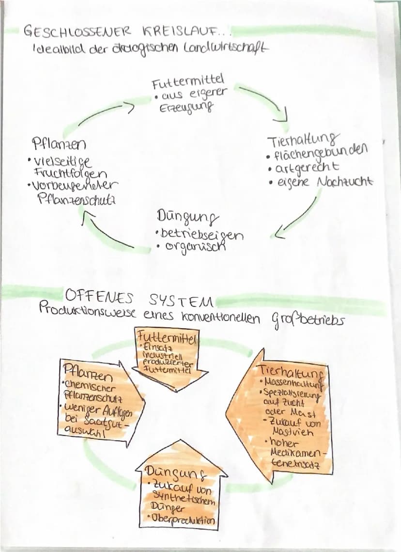 --- OCR Start ---
LANDWIRTSCHAFTLICHE PRODUKTION
FORMEN DER LANDWIRTSCHAFT
SUBSISTENZWIRTSCHAFT
-> Anbau der Eigenversorgung (Food Crops)
KO