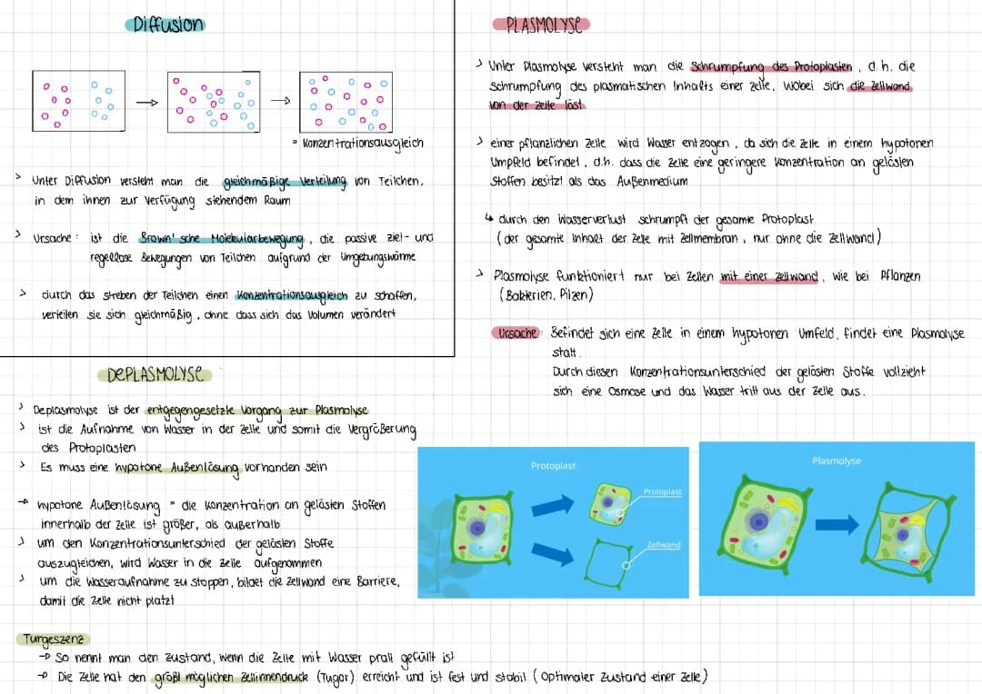 Diffusion, Osmose, Plasmolyse, Deplasmolyse