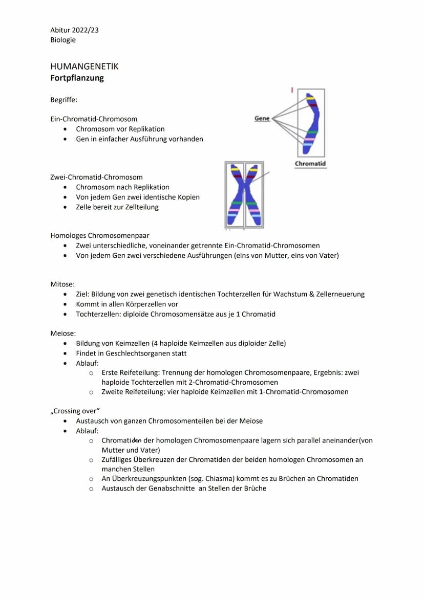 Abitur 2022/23
Biologie
LPE 3 Genetik
Humangenetik
1. Sexuelle Fortpflanzung
1.1. Keimzellenbildung und Befruchtung
2. Stammbaumanalysen
2.1