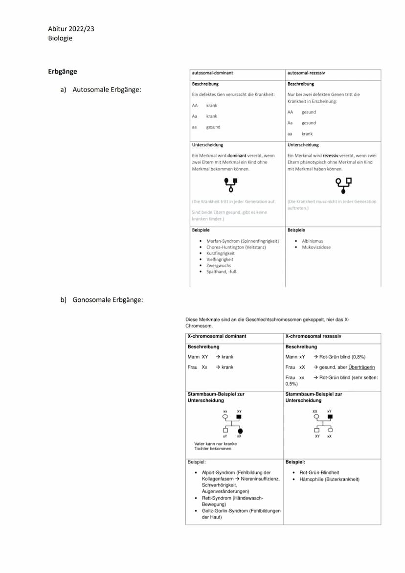 Abitur 2022/23
Biologie
LPE 3 Genetik
Humangenetik
1. Sexuelle Fortpflanzung
1.1. Keimzellenbildung und Befruchtung
2. Stammbaumanalysen
2.1