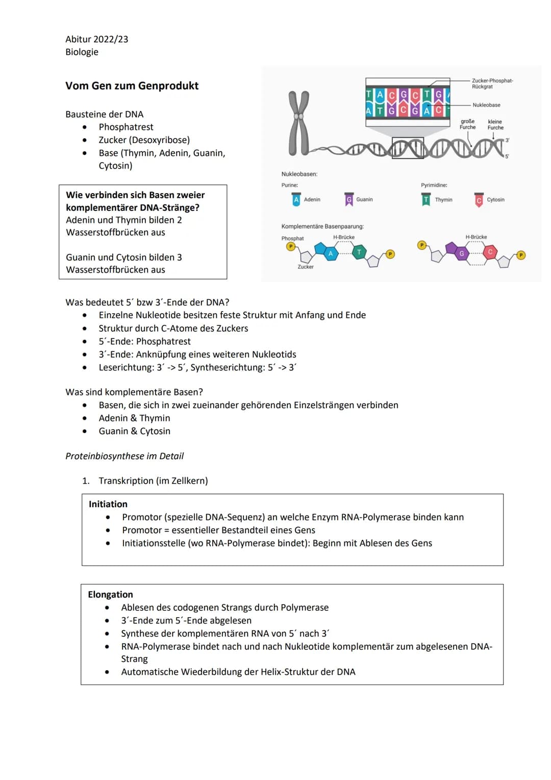 Abitur 2022/23
Biologie
LPE 3 Genetik
Humangenetik
1. Sexuelle Fortpflanzung
1.1. Keimzellenbildung und Befruchtung
2. Stammbaumanalysen
2.1