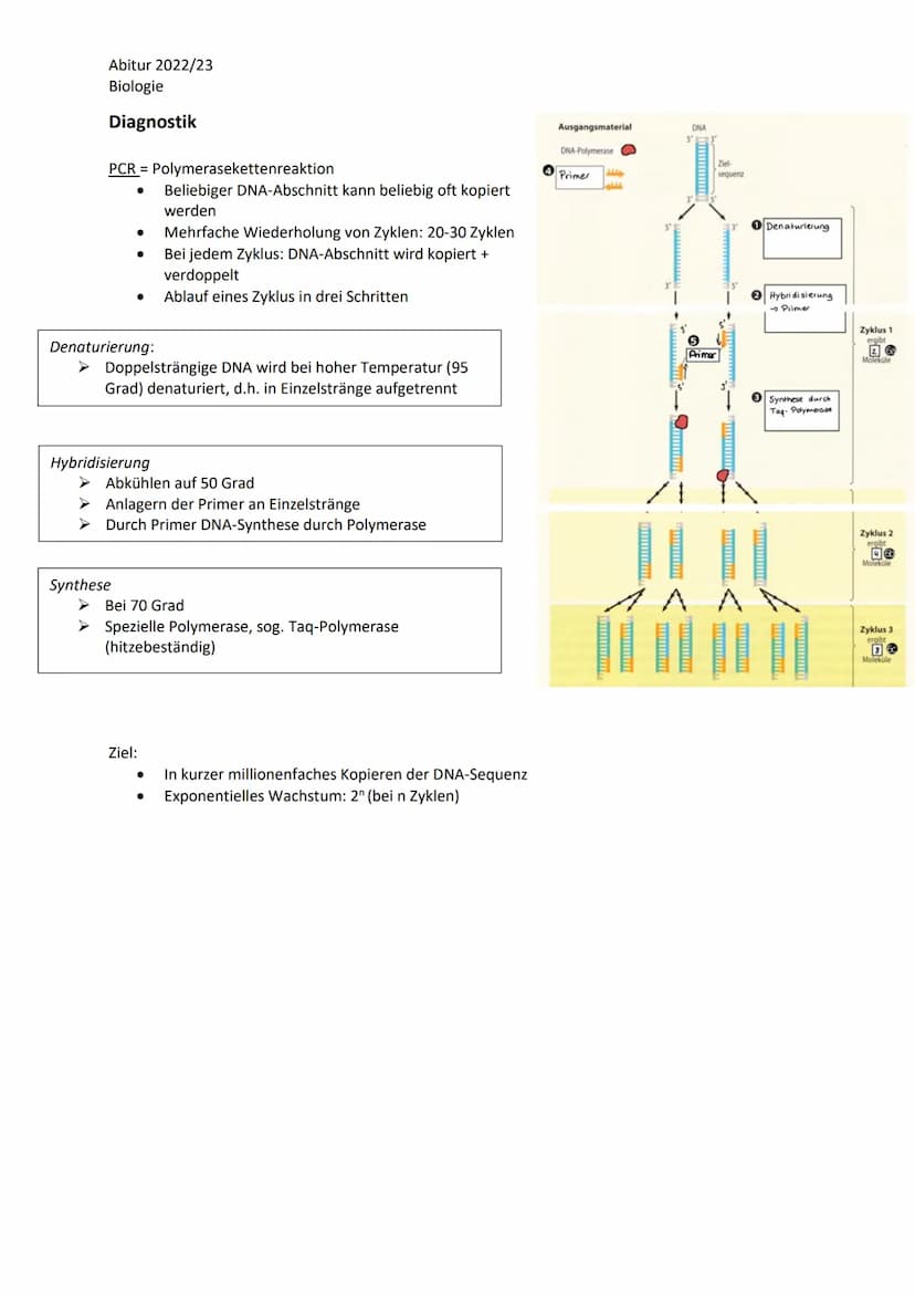Abitur 2022/23
Biologie
LPE 3 Genetik
Humangenetik
1. Sexuelle Fortpflanzung
1.1. Keimzellenbildung und Befruchtung
2. Stammbaumanalysen
2.1