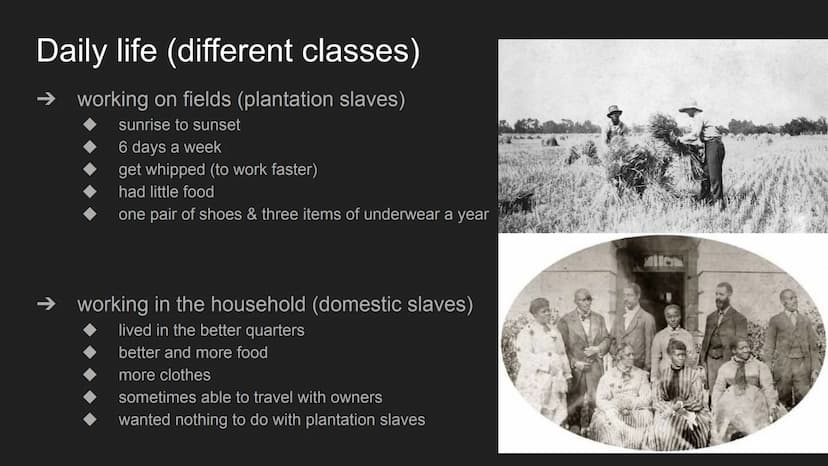 Slavery in America Structure
history of slavery in the USA
➜
→ living conditions
daily life
effects
Where can we see Slavery
nowadays?
alany
