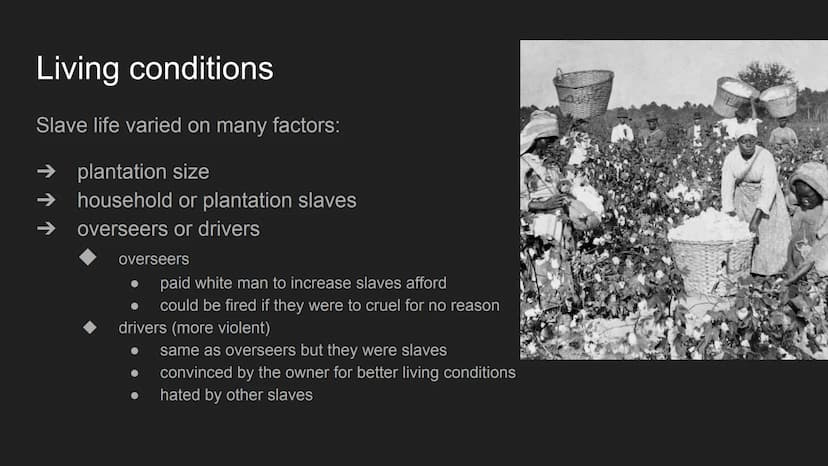 Slavery in America Structure
history of slavery in the USA
➜
→ living conditions
daily life
effects
Where can we see Slavery
nowadays?
alany