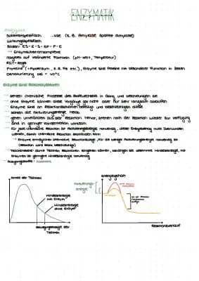 Know Enzymatik Abitur  thumbnail
