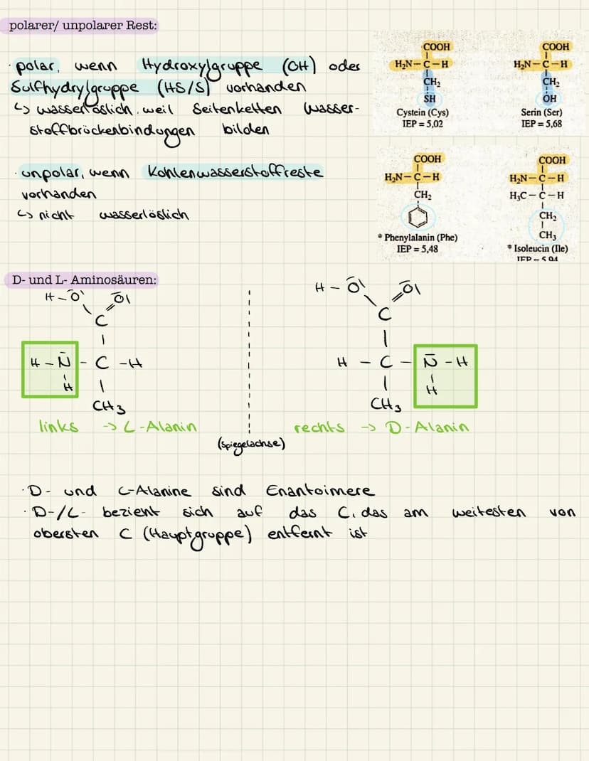 Lernzettel Chemie
Aminosäuren:
Allgemeiner Aufbau Aminosäuren:
lo
H - N
1
H
Aminogruppe
R
Struktur Glycin, Alanin:
Glycin:
& Rest
pH-Wert:
H