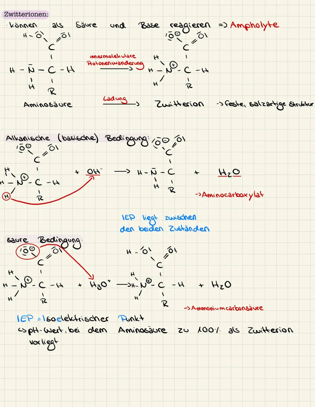 Lernzettel Chemie
Aminosäuren:
Allgemeiner Aufbau Aminosäuren:
lo
H - N
1
H
Aminogruppe
R
Struktur Glycin, Alanin:
Glycin:
& Rest
pH-Wert:
H