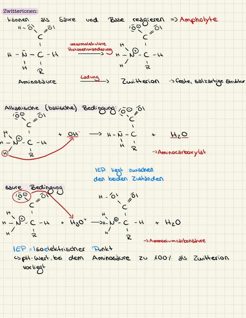 Lernzettel Chemie
Aminosäuren:
Allgemeiner Aufbau Aminosäuren:
lo
H - N
1
H
Aminogruppe
R
Struktur Glycin, Alanin:
Glycin:
& Rest
pH-Wert:
H
