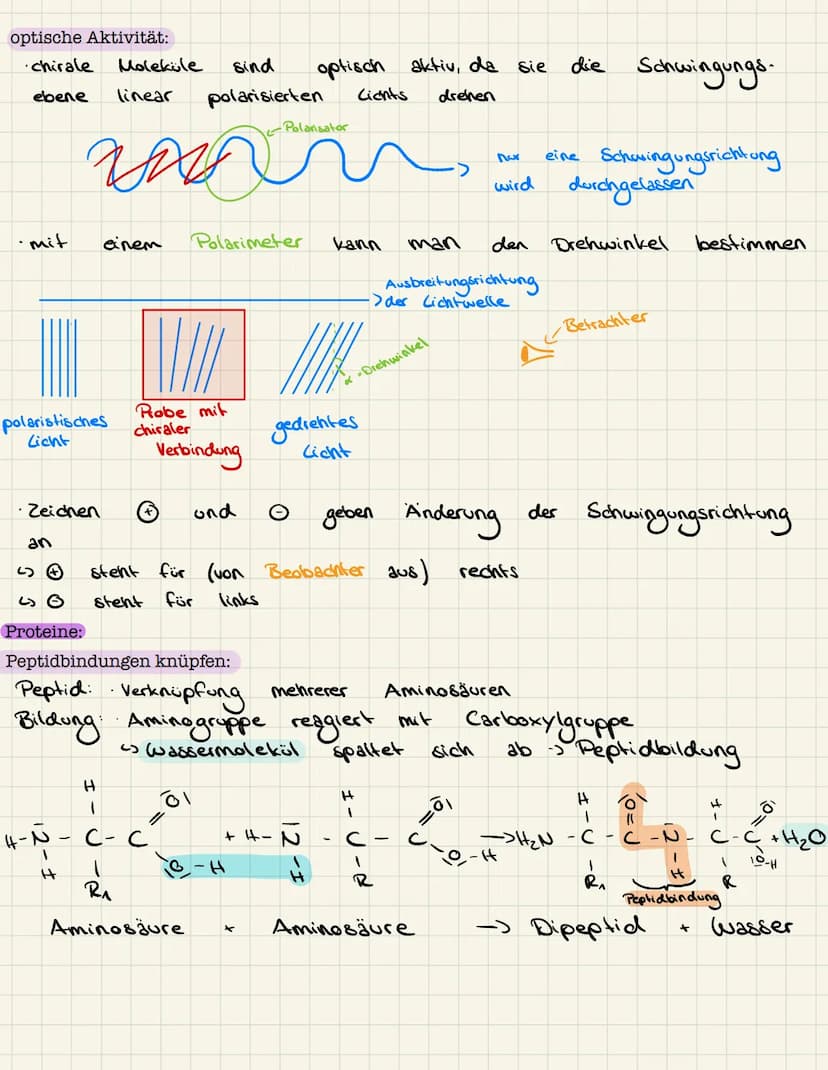 Lernzettel Chemie
Aminosäuren:
Allgemeiner Aufbau Aminosäuren:
lo
H - N
1
H
Aminogruppe
R
Struktur Glycin, Alanin:
Glycin:
& Rest
pH-Wert:
H