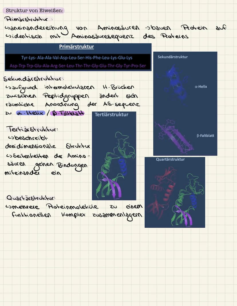 Lernzettel Chemie
Aminosäuren:
Allgemeiner Aufbau Aminosäuren:
lo
H - N
1
H
Aminogruppe
R
Struktur Glycin, Alanin:
Glycin:
& Rest
pH-Wert:
H