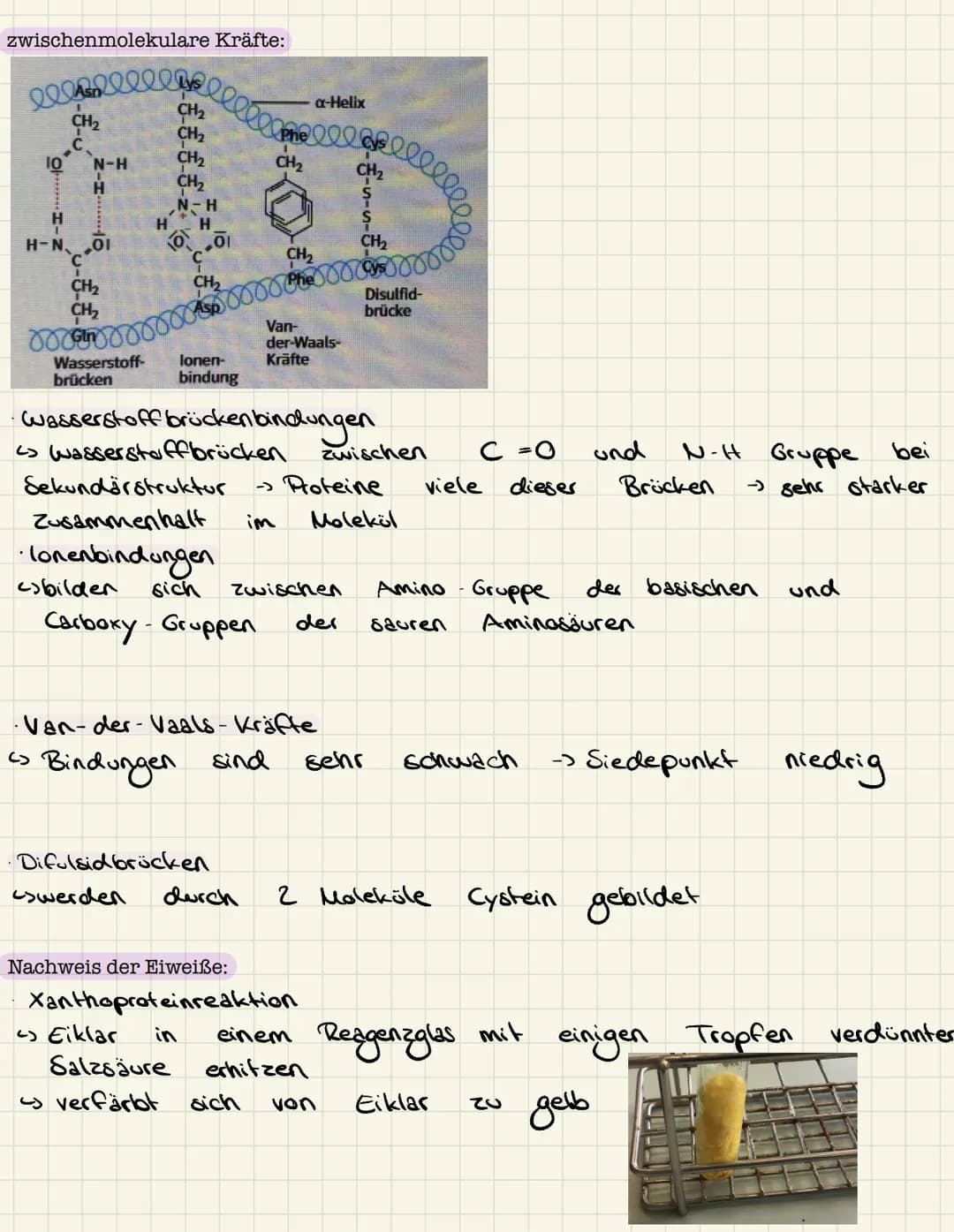 Lernzettel Chemie
Aminosäuren:
Allgemeiner Aufbau Aminosäuren:
lo
H - N
1
H
Aminogruppe
R
Struktur Glycin, Alanin:
Glycin:
& Rest
pH-Wert:
H