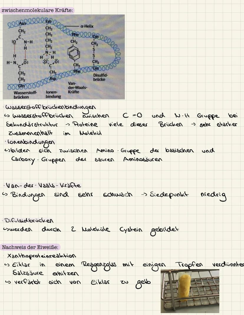 Lernzettel Chemie
Aminosäuren:
Allgemeiner Aufbau Aminosäuren:
lo
H - N
1
H
Aminogruppe
R
Struktur Glycin, Alanin:
Glycin:
& Rest
pH-Wert:
H