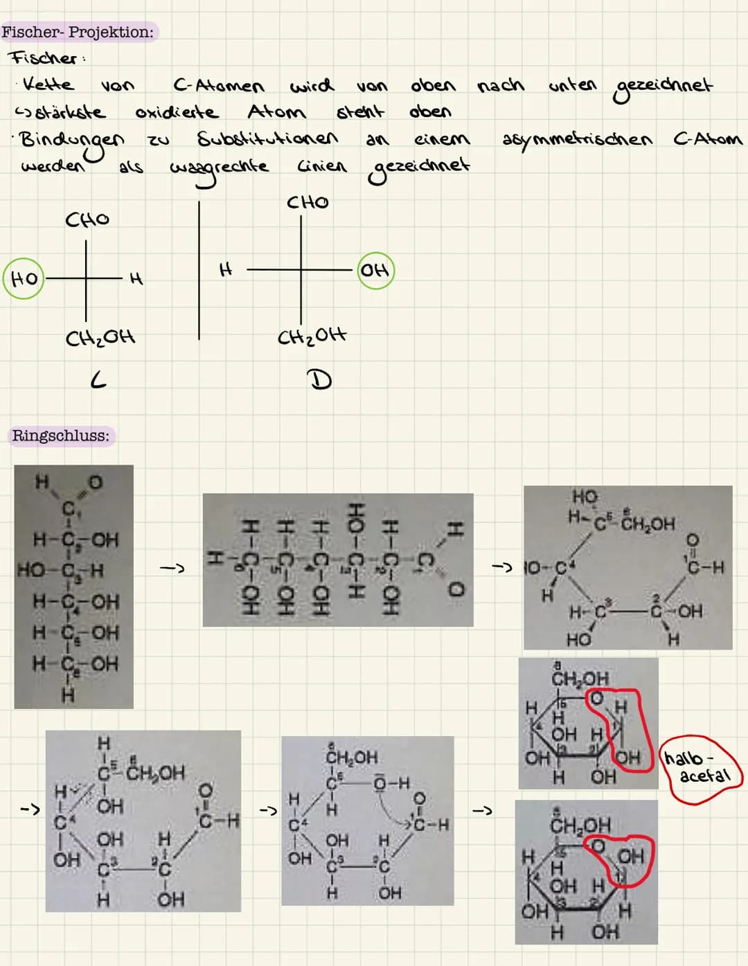 Lernzettel Chemie
Aminosäuren:
Allgemeiner Aufbau Aminosäuren:
lo
H - N
1
H
Aminogruppe
R
Struktur Glycin, Alanin:
Glycin:
& Rest
pH-Wert:
H