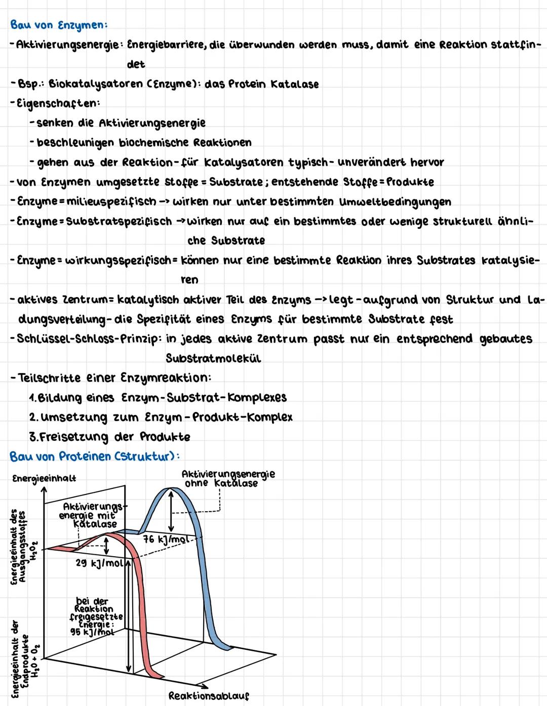 TRANSKRIPTION 5.68
4) Lesen Sie S.68 und zeichnen Sie den Ablauf der Transkription.
5'
verlängerung der RNA
Richtung der Transkription
5'
Pr