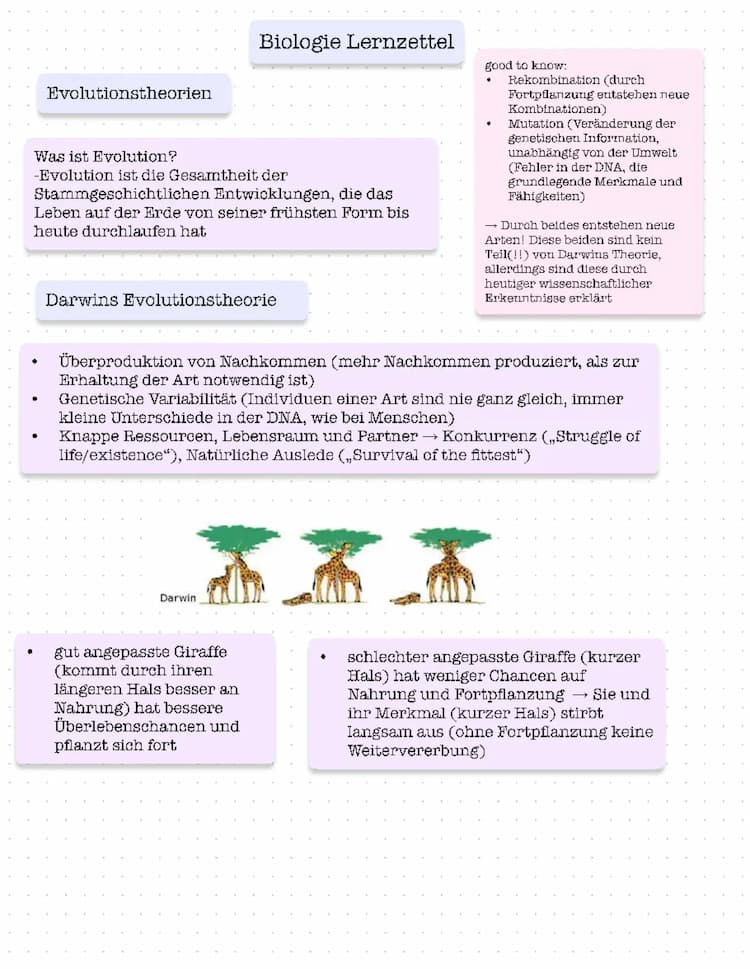 Know Lamarck und Darwin Evolutionstheorien thumbnail