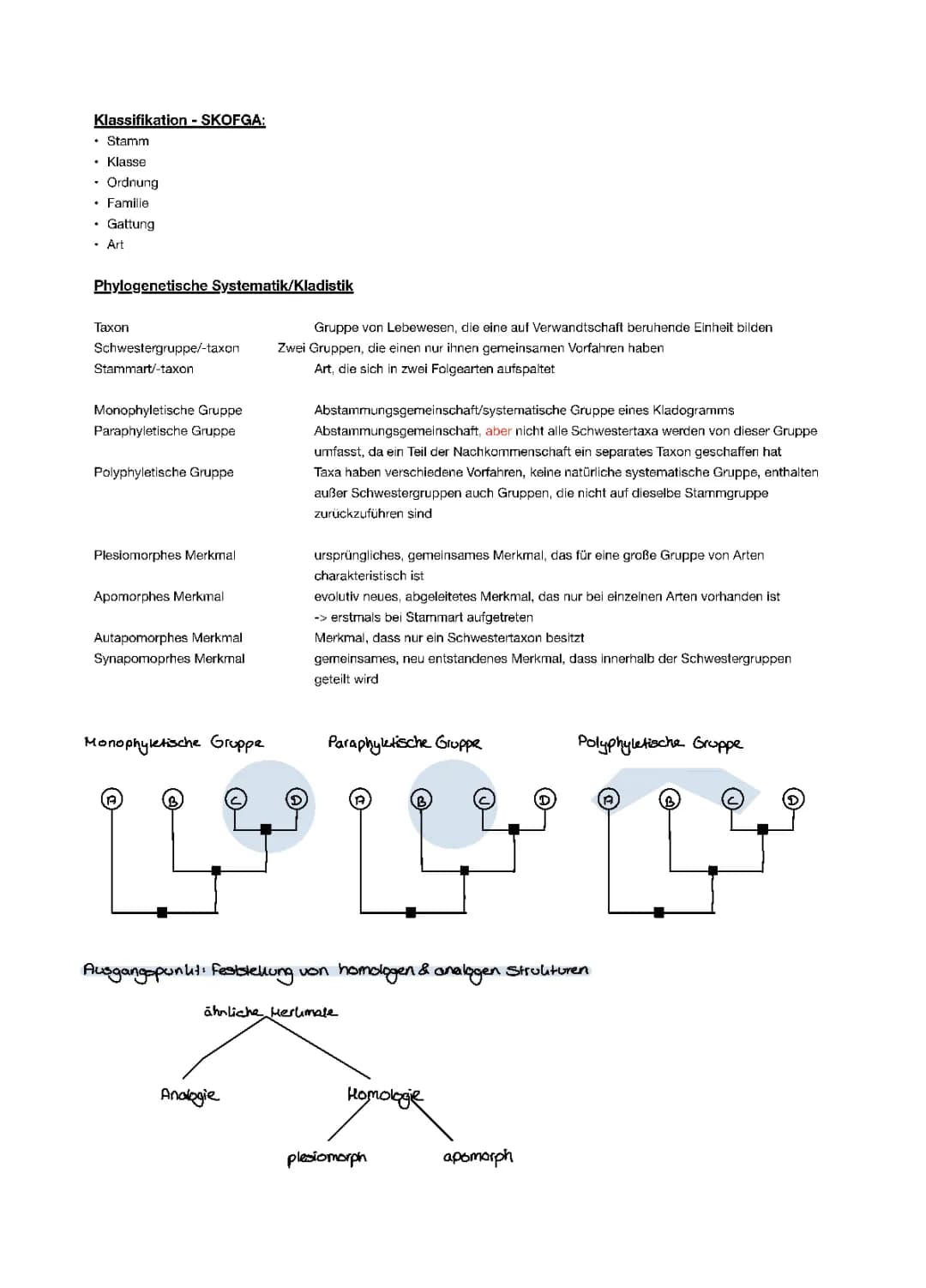 Stammbäume - Phylogenetische Systematik und Kladistik 