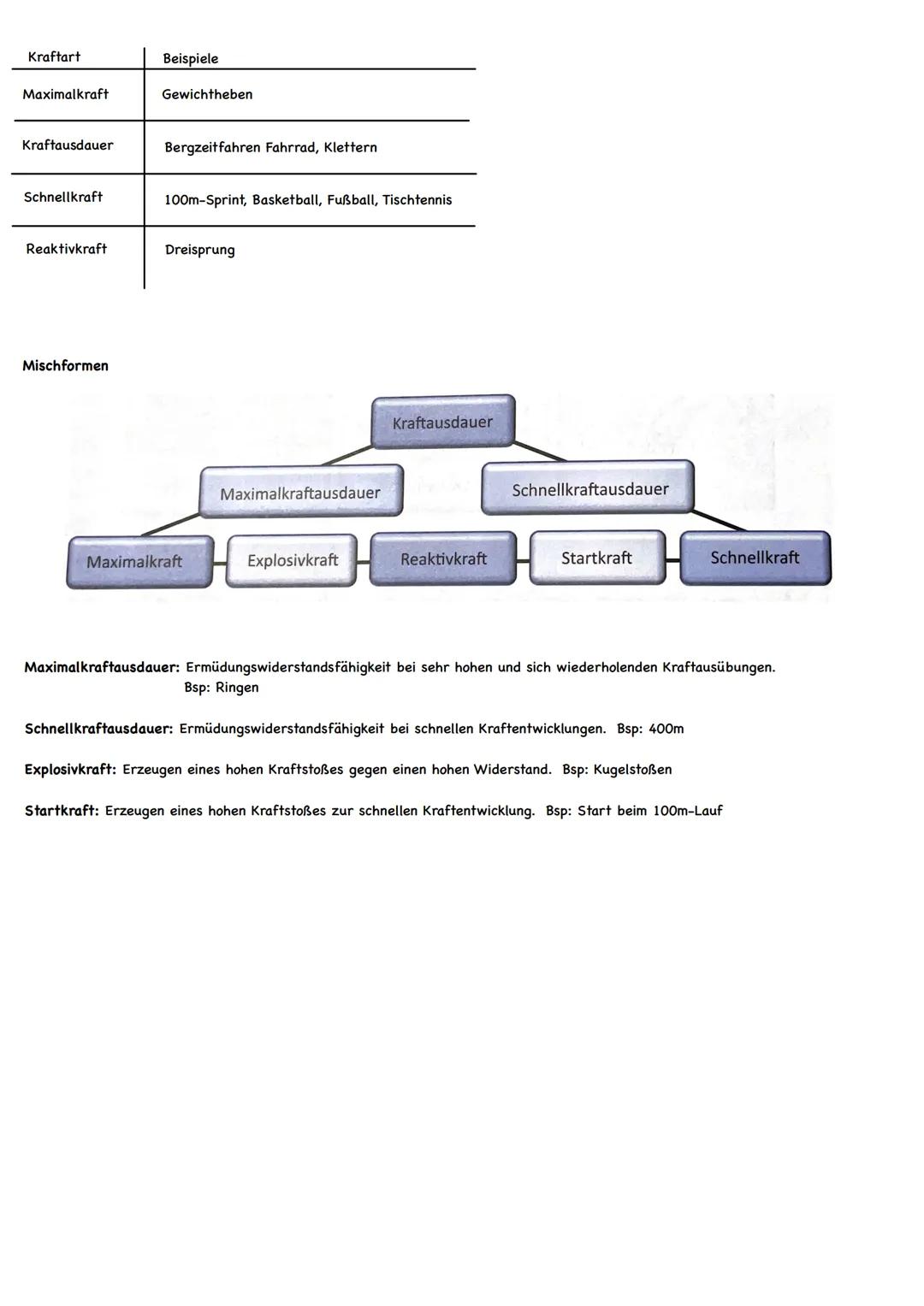 # KRAFT

WIE IST DER MUSKEL AUFGEBAUT?

-gesunder Mensch besitzt 650 Muskeln

-Anzahl der Muskeln identisch

-Anteil der Muskelmasse: Männer