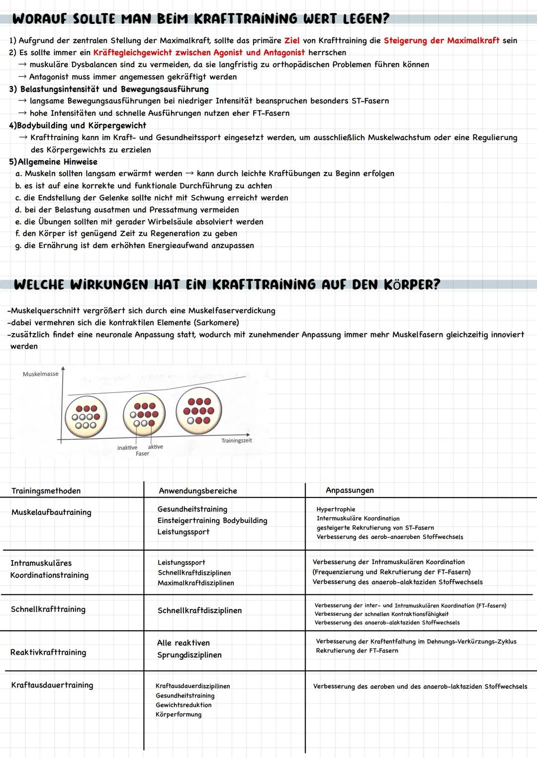 # KRAFT

WIE IST DER MUSKEL AUFGEBAUT?

-gesunder Mensch besitzt 650 Muskeln

-Anzahl der Muskeln identisch

-Anteil der Muskelmasse: Männer