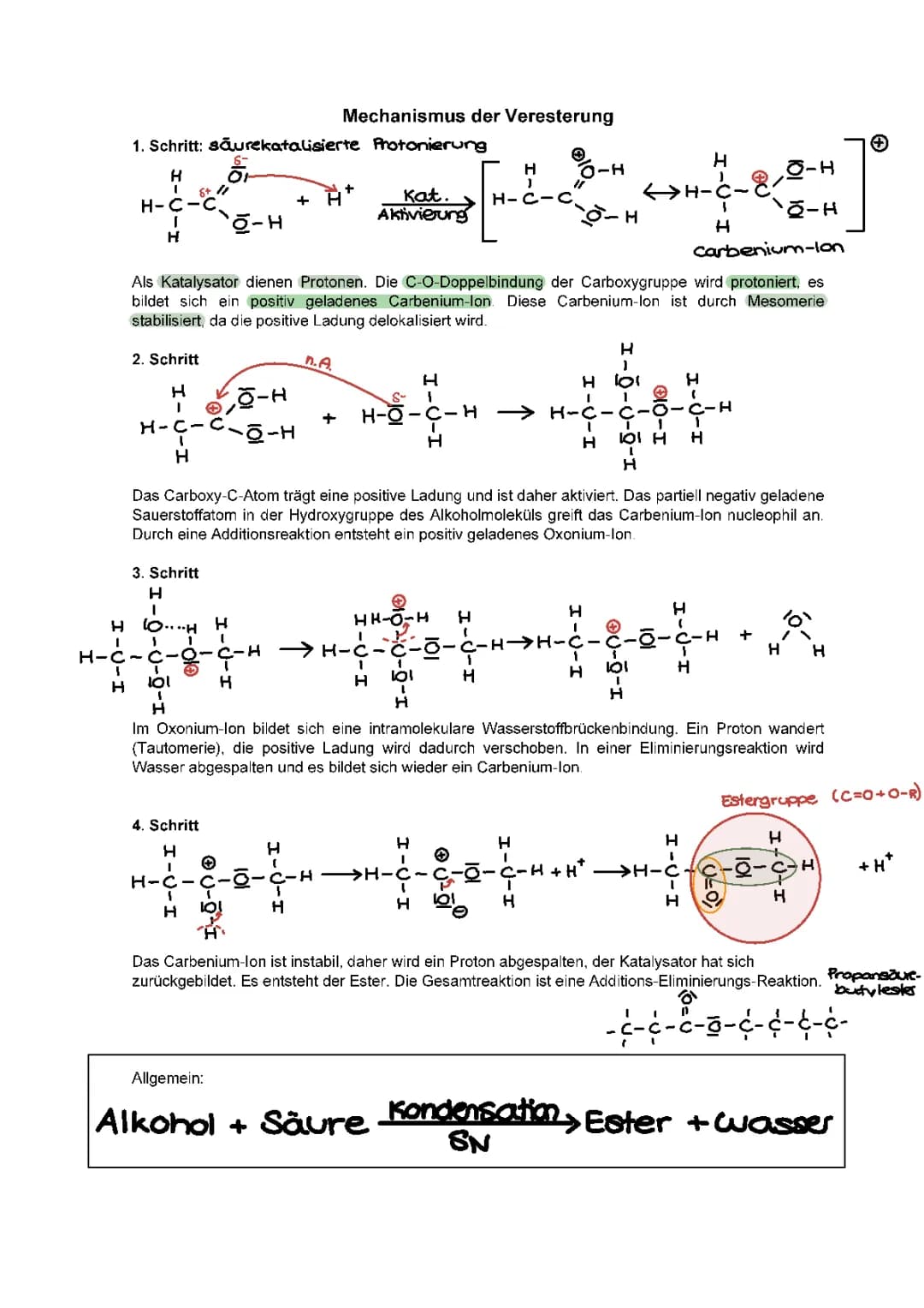 Mechanismus der Veresterung