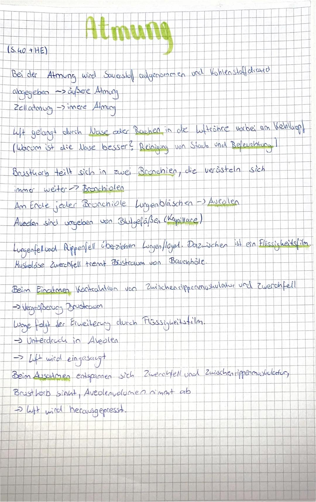 # Atmung

(S.40+HE)

Bei der Atmung wird Saverstall aulyenommen und Kohlenstoffdiatrd
abgegeben außere Atmung
Zellatmung imere Almung

ift g
