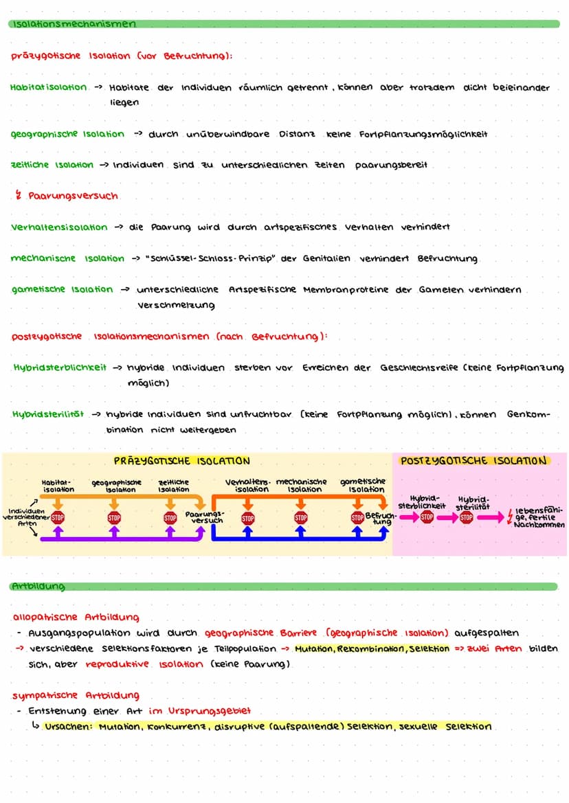 Evolution
Jean-Baptiste Lamarck (1744-1829)
aktive, gerichtete Anpassung von Arten
Lo Weiterentwicklung der Urform (lineare Evolutionslinie 