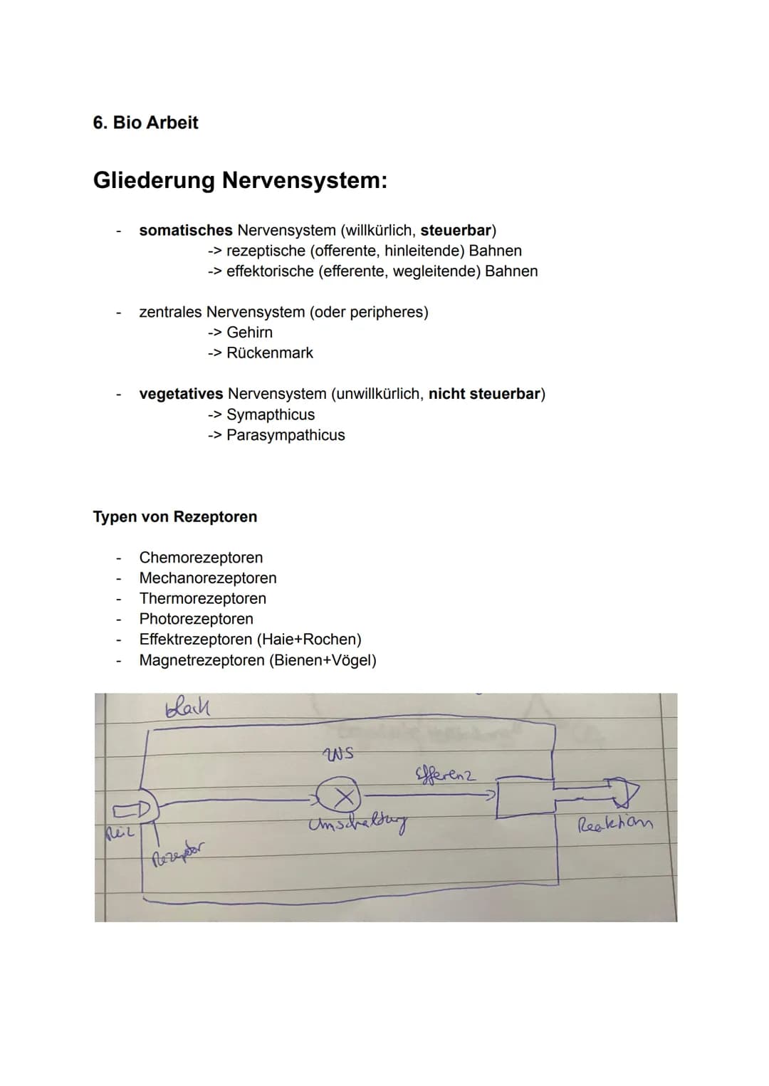 6. Bio Arbeit
Gliederung Nervensystem:
somatisches Nervensystem (willkürlich, steuerbar)
Reiz
-> rezeptische (offerente, hinleitende) Bahnen