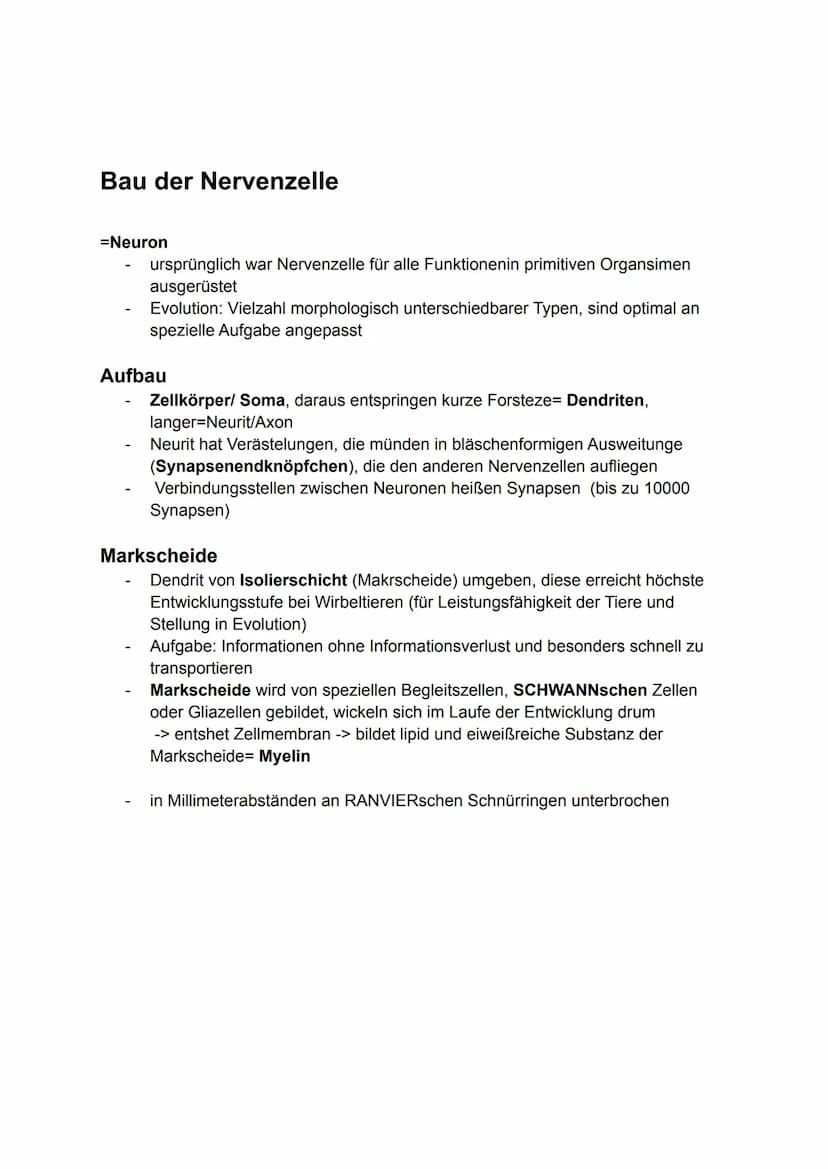 6. Bio Arbeit
Gliederung Nervensystem:
somatisches Nervensystem (willkürlich, steuerbar)
Reiz
-> rezeptische (offerente, hinleitende) Bahnen