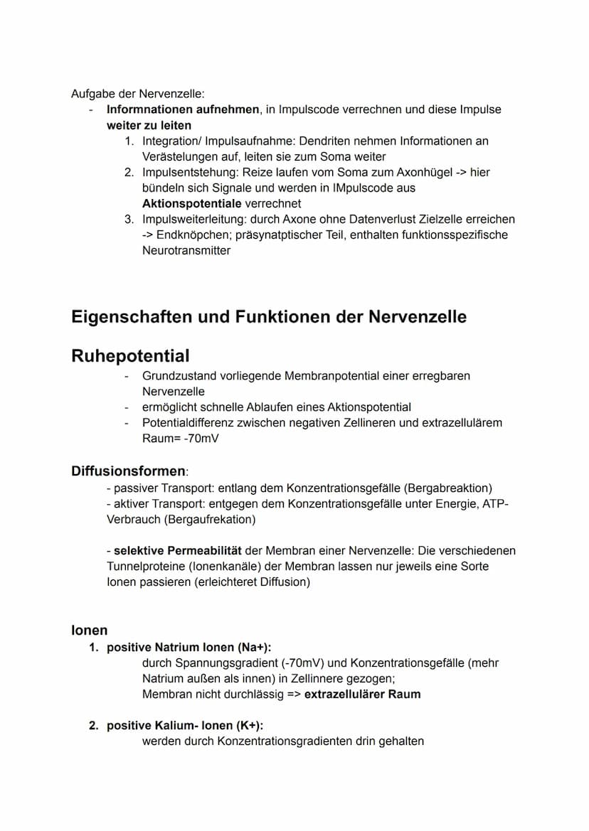6. Bio Arbeit
Gliederung Nervensystem:
somatisches Nervensystem (willkürlich, steuerbar)
Reiz
-> rezeptische (offerente, hinleitende) Bahnen