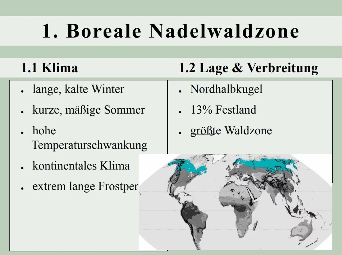 Welche ökologischen Folgen hat der
Rohstoffabbau in Fort McMurray?
CEL 1.
boreale Nadelwaldzone
1.1 Klima
1.2 Lage & Verbreitung
1.3 Boden
1